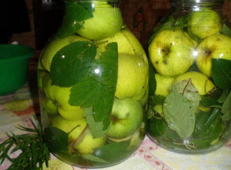 Rezept für eingeweichte Äpfel in Flaschen