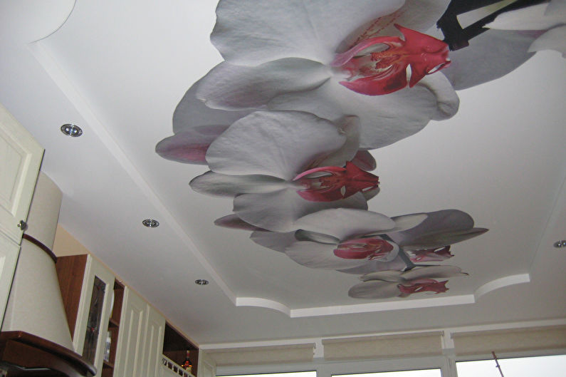 Τεντωμένες οροφές με εκτύπωση φωτογραφιών για την κουζίνα