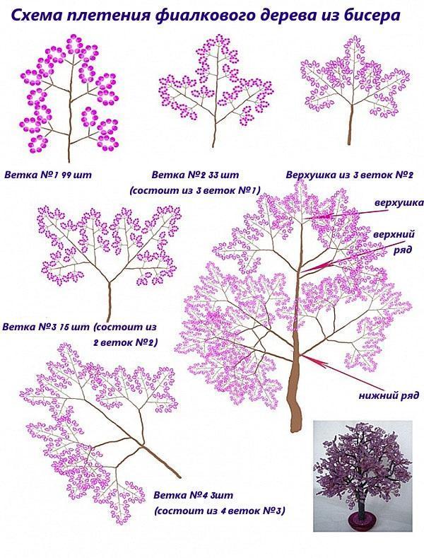 fialový strom korálkový