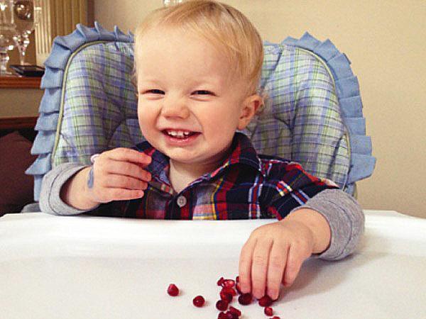 Babys können Granatapfel in Maßen verwenden