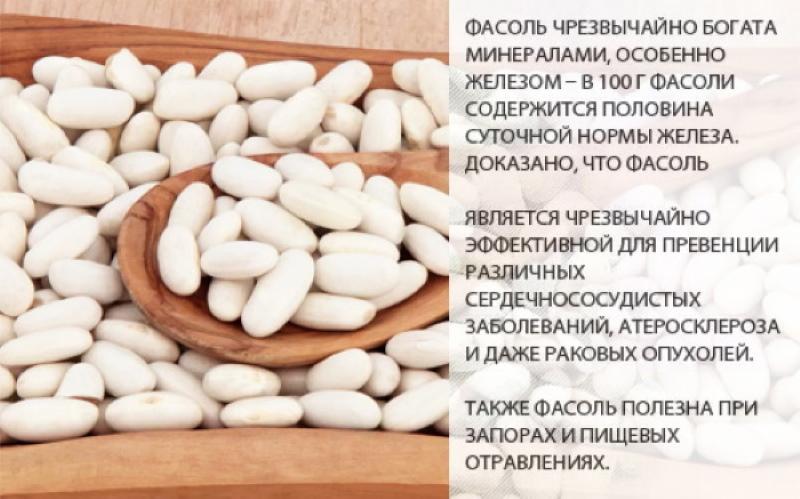 užitečné vlastnosti bílých fazolí