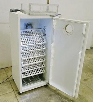 Inkubator aus dem Kühlschrank