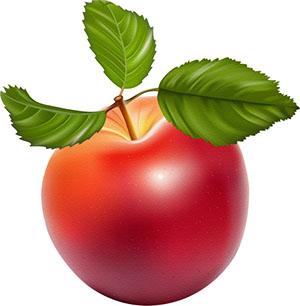 Apfelfrucht