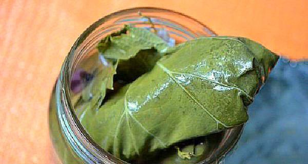 sklenice pevně naplňte okurkami v listech