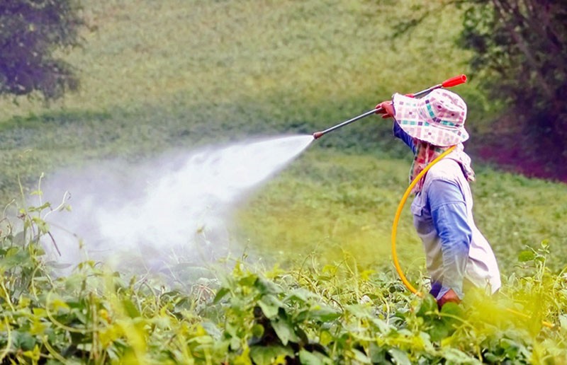 dopad pesticidů na životní prostředí