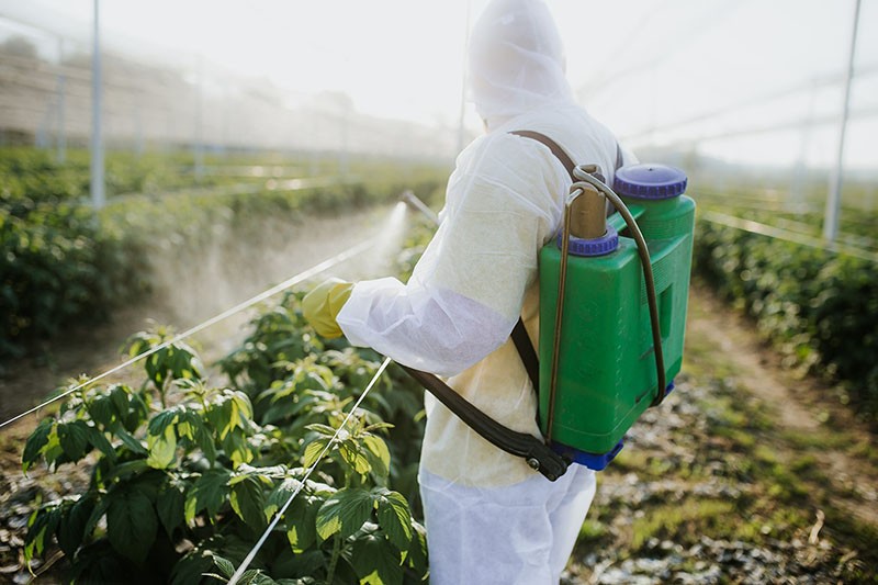 pracovat s pesticidy