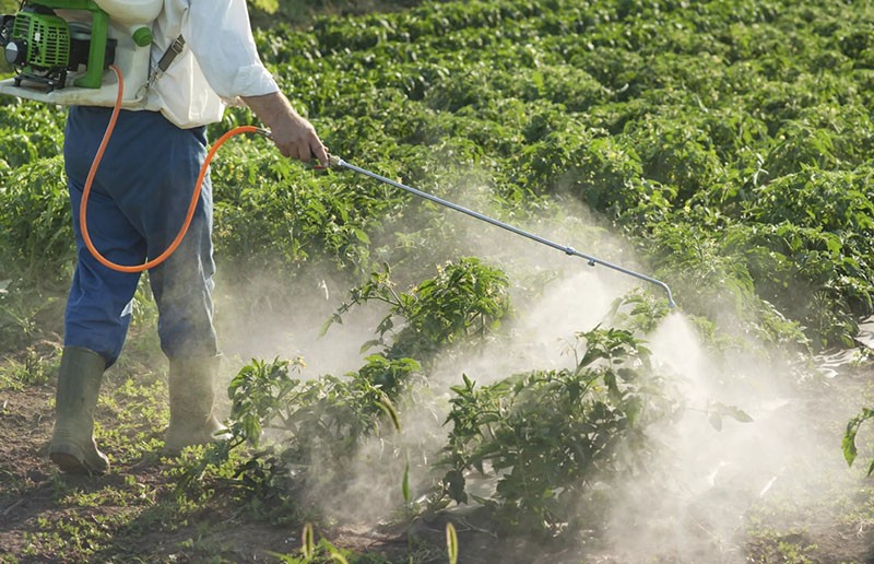ošetření rostlin pesticidy