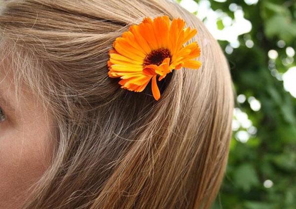 Tinktur aus Ringelblume für die Haare