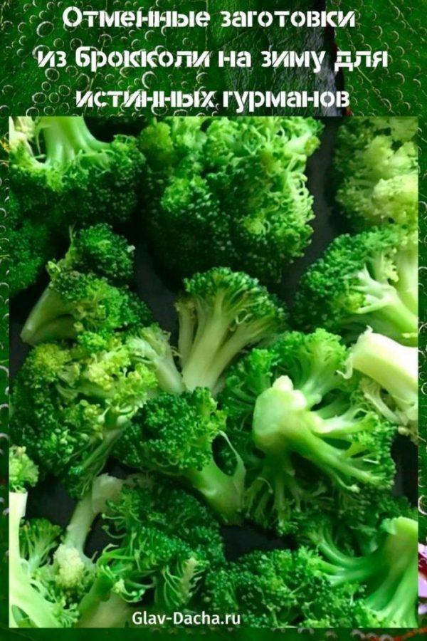 brokolicové přípravky na zimu