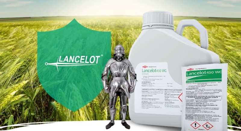 aplikace herbicidu lancelot