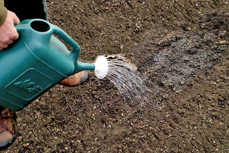 Pokyny k použití Farmayodu k dezinfekci půdy