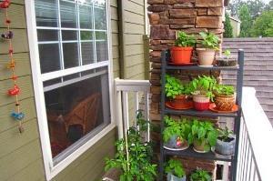 So organisieren Sie einen Garten auf dem Balkon