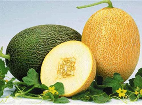 Melounová dužina a semena mají léčivé vlastnosti