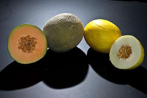 Melounová dužina se dodává v různých barvách