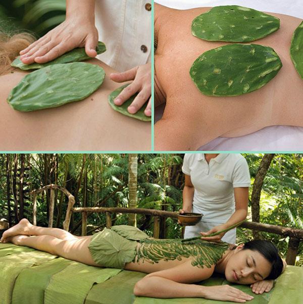 terapeutická masáž s kaktusem