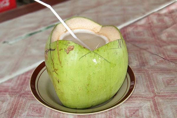 einzigartige wohltuende Eigenschaften von Kokoswasser