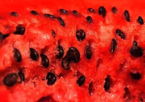 Wassermelonenkerne haben heilende Eigenschaften