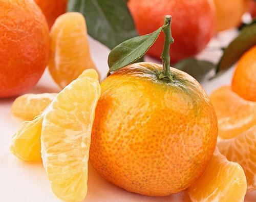 Mandarinen sind wertvoll für die Gesundheit einer schwangeren Frau