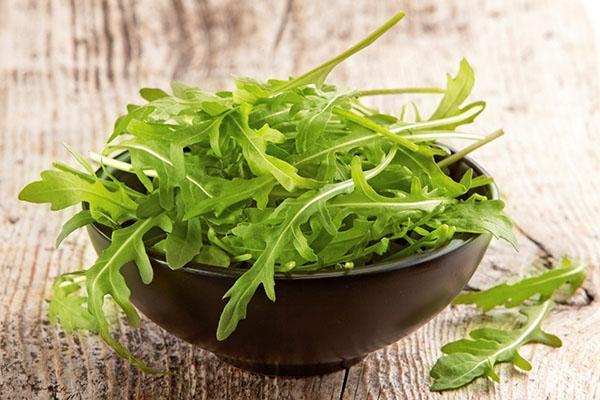 výhody a poškození rukolového salátu