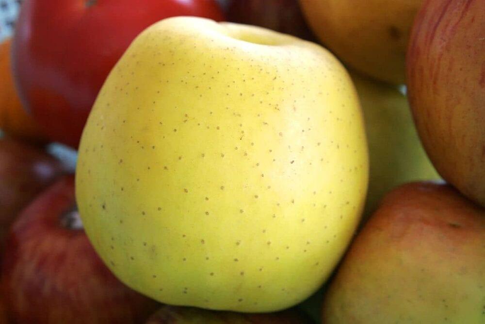 تشكيلة التفاح جولدن رينجرز