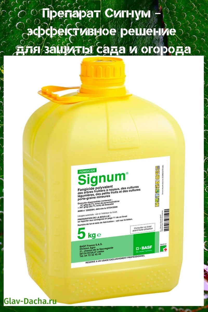Signum-Medikament