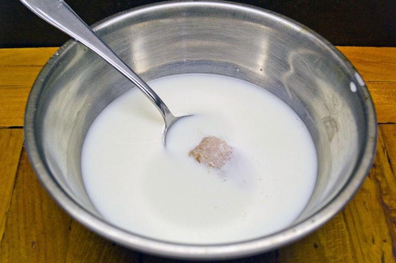خميرة مخففة في الحليب