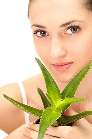 Aloe-Saft wird als entzündungshemmendes Mittel bei Eiterung, Nässen und trockener Haut verwendet
