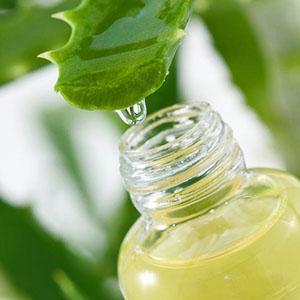Aloe-Saft wird sowohl in der traditionellen als auch in der Volksmedizin verwendet.