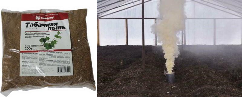 tabákový prach pro skleníkovou fumigaci