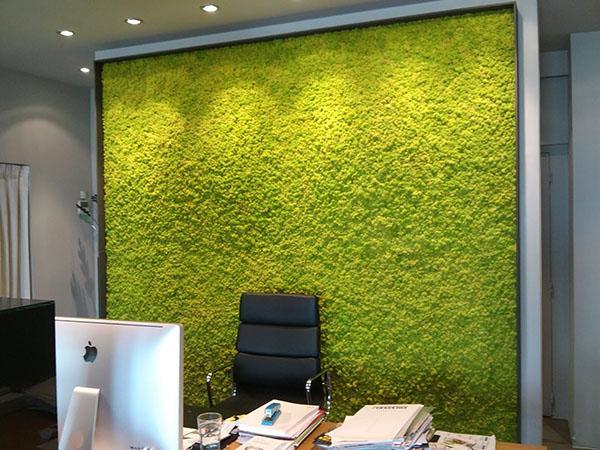 جدار في المكتب مصنوع من الطحلب الحقيقي
