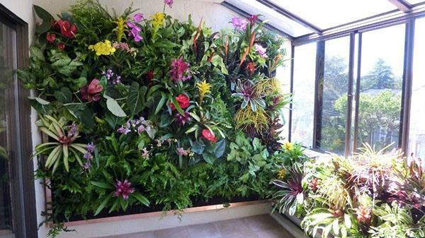 lebende Wand aus blühenden Pflanzen