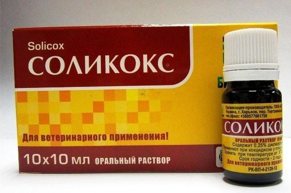 Das Medikament Solikox wird zur Behandlung von Kaninchen verwendet