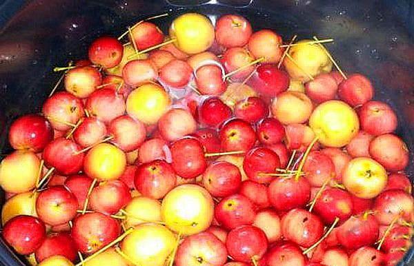 Äpfel sortieren und waschen