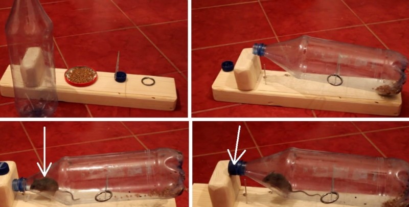 زجاجة بلاستيكية مصيدة الفأر الفيديو