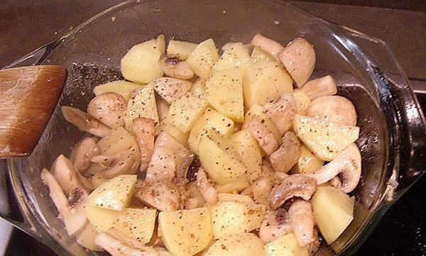 Champignons, Kartoffeln, Salz und Gewürze mischen