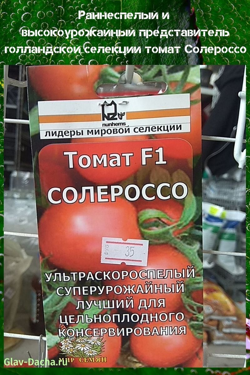 Solerosso-Tomate