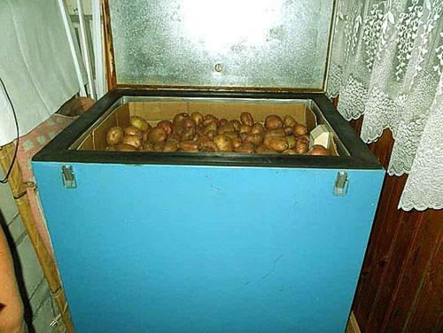 Kartoffeln in einer Kiste auf dem Balkon