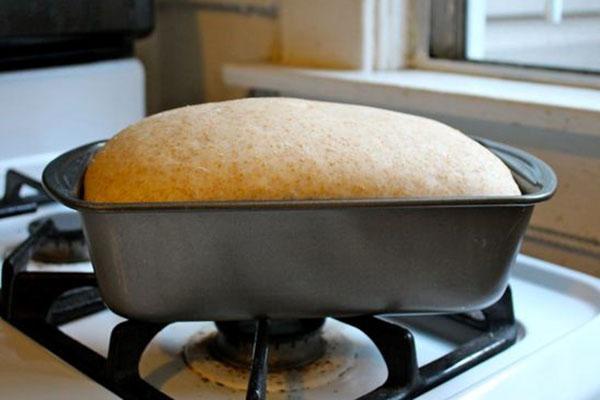 خبز القمح على شكل