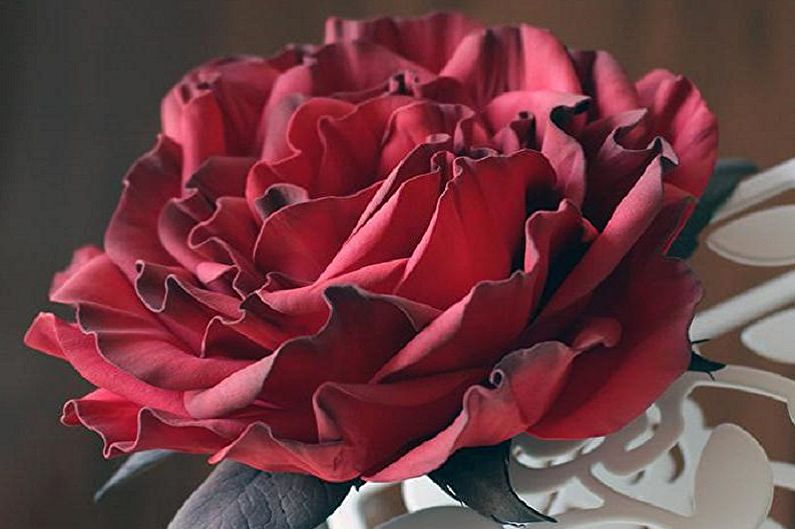 Gör-det-själv-rosor från foamiran-foto