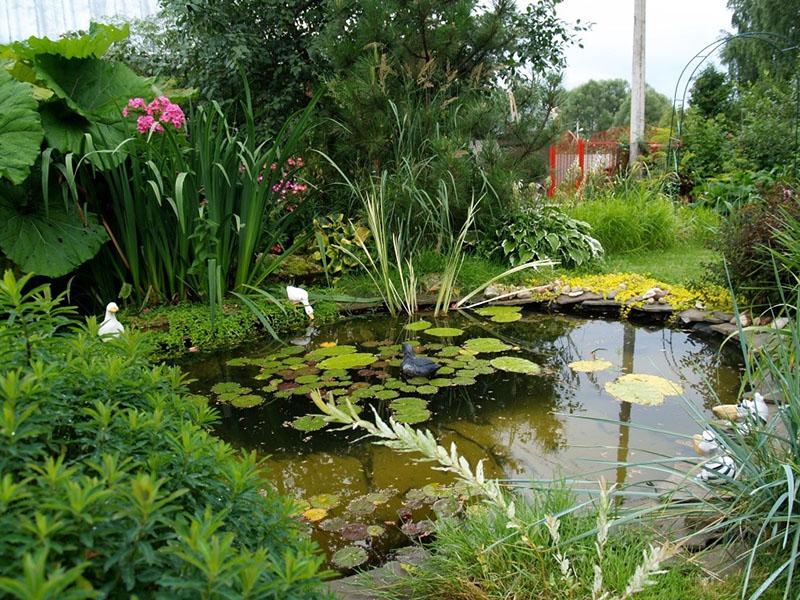 rybník v anglické zahradě