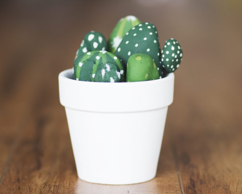 Cactus de guijarros en una maceta blanca