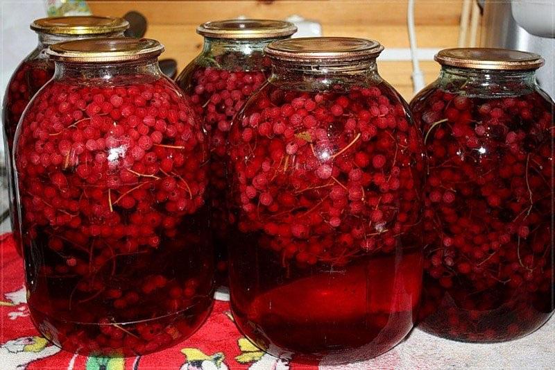 die besten Rezepte für die Ernte von roten Johannisbeeren für das Winterkompott