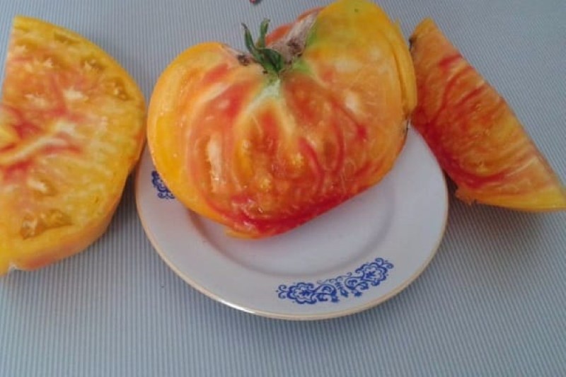 ovocný rajský grapefruit