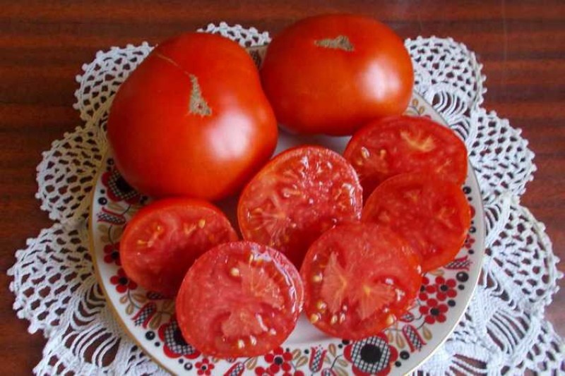 Tomatenfrucht Mongolischer Zwerg
