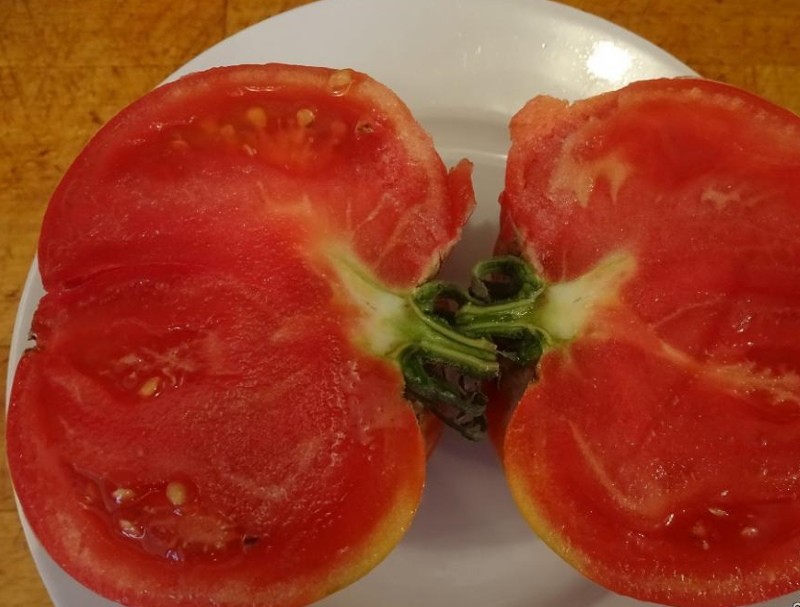 Früchte von Tomaten korneevsky