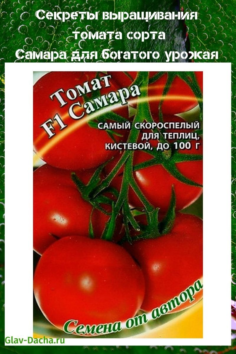 Samara-Tomate