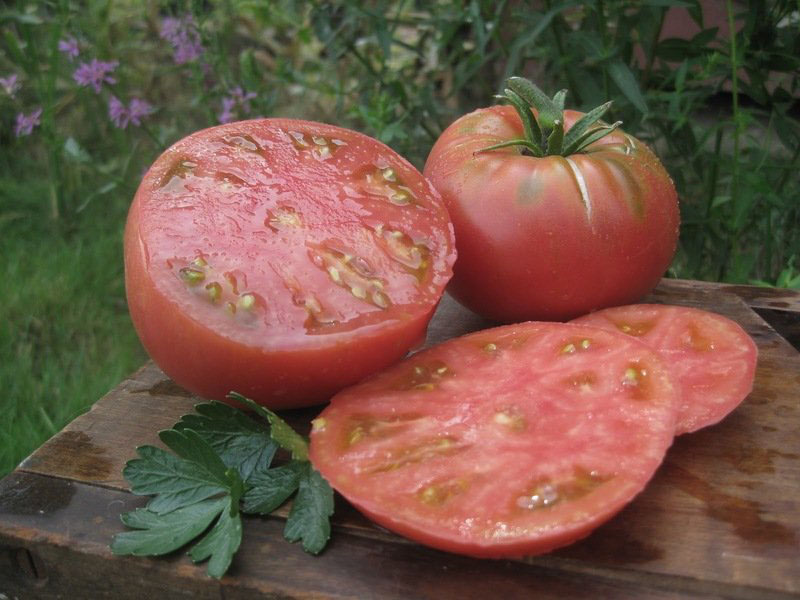 großfrüchtige Tomate Mikado