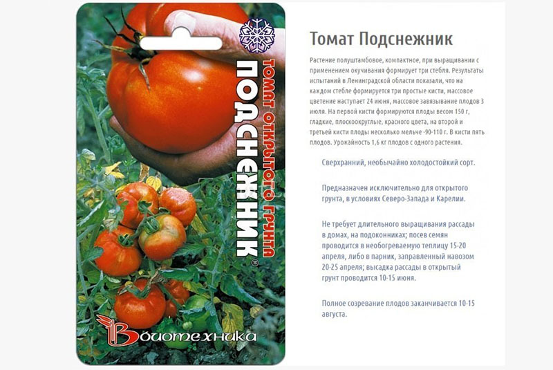 Schneeglöckchen Tomate