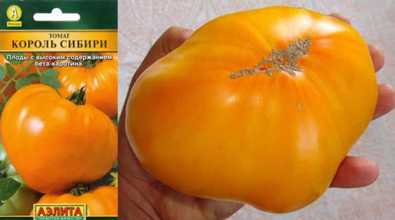 König der gelben Tomaten von Sibirien