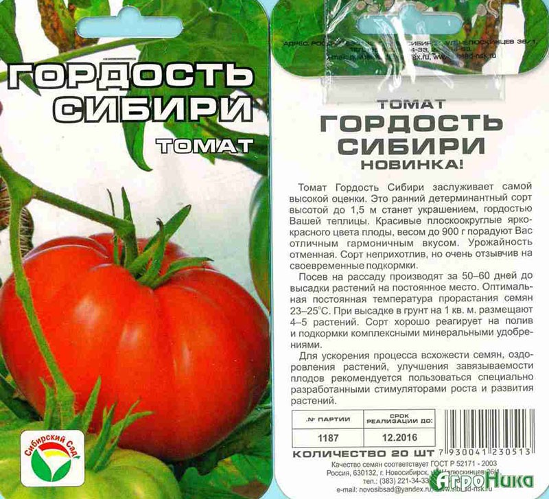 Tomaten für das Gewächshaus der Stolz Sibiriens